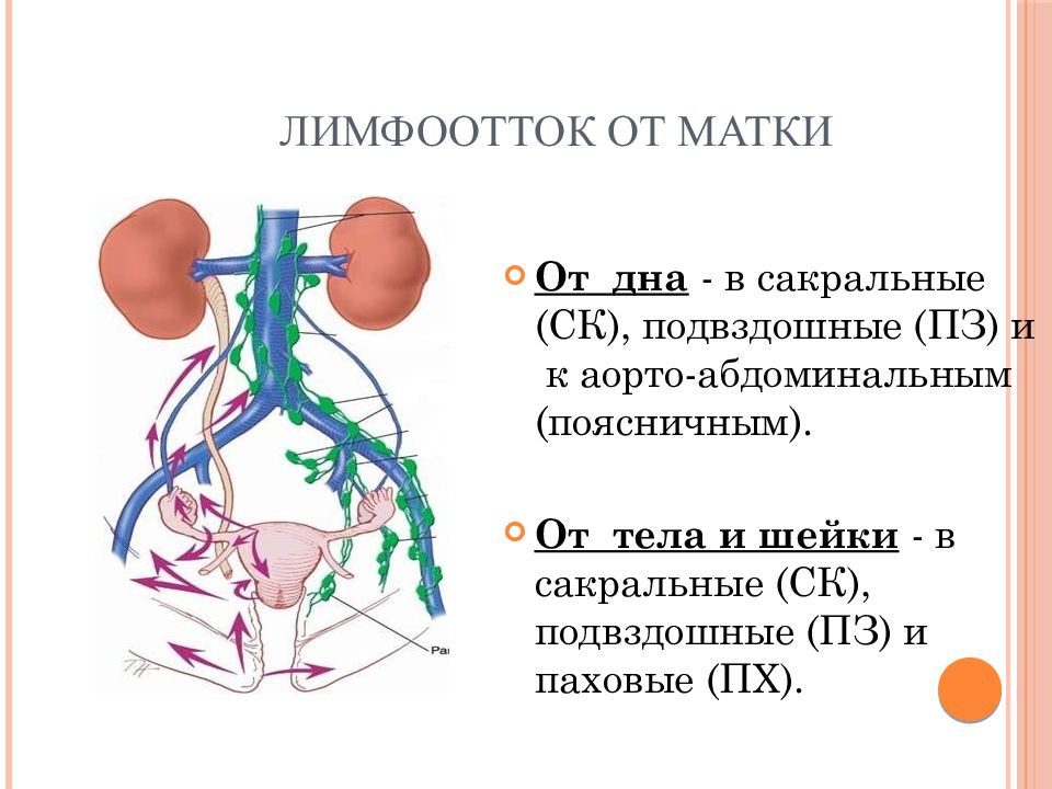 Лимфоотток