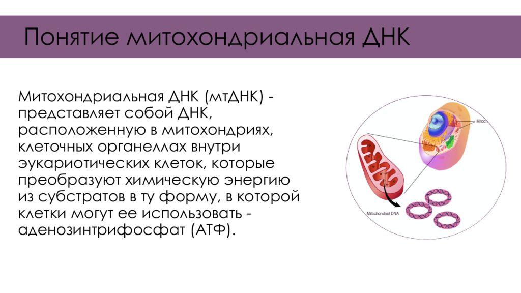 Синдром пирсона презентация