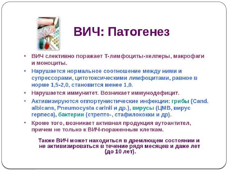 Схема патогенеза вич