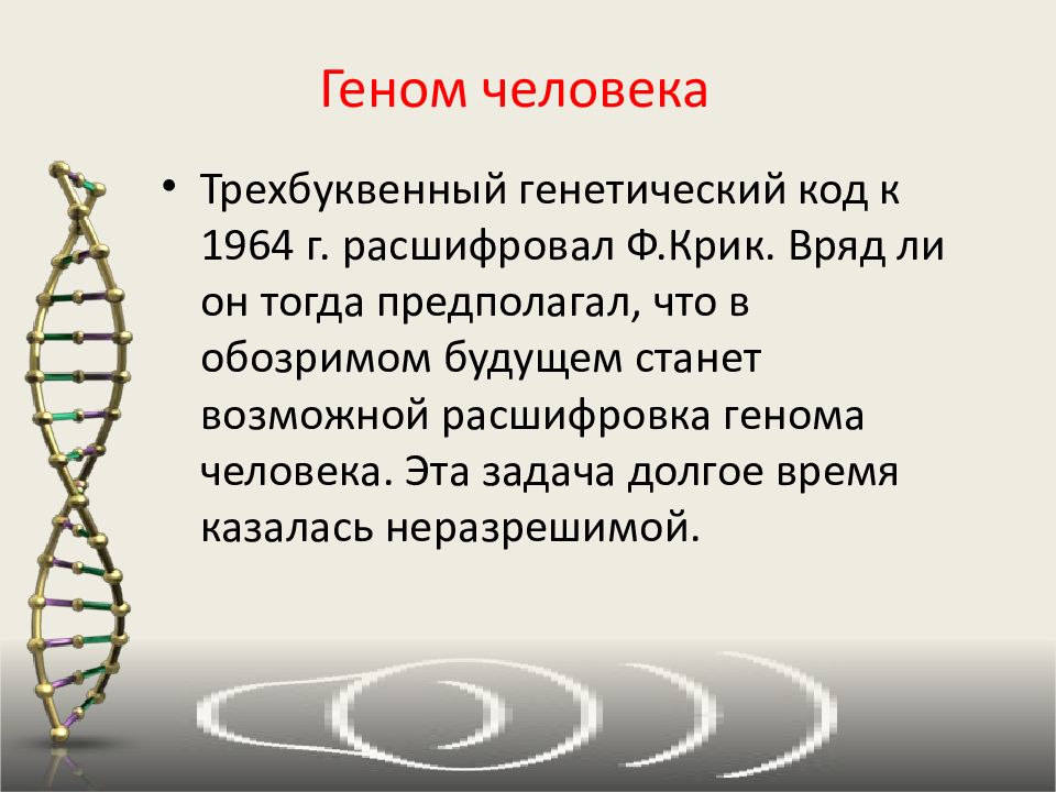 Днк молекула наследственности. Геном человека хромосомы. Гены и геномы. Структура генома человека. Ген геном презентация.