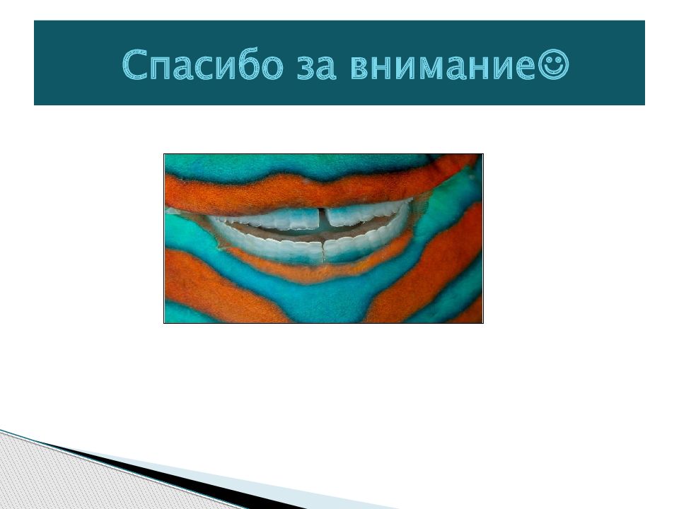 Индексы гигиены полости рта в стоматологии презентация