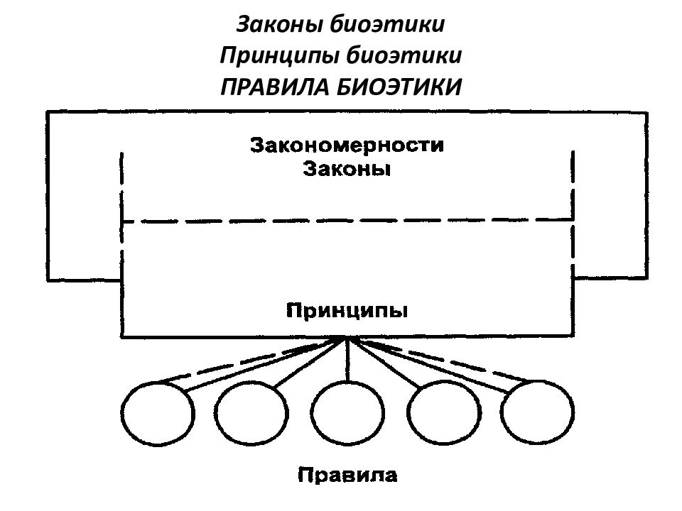 Принципы и правила биоэтики презентация