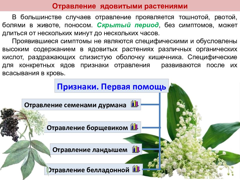 Отравления ядовитыми растениями презентация