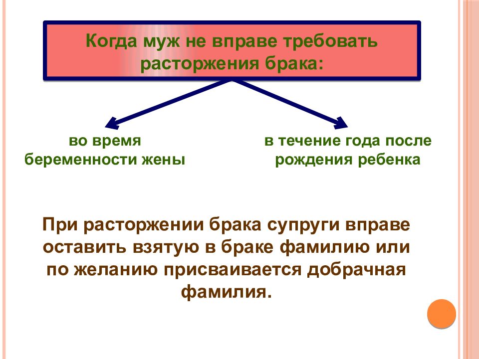 Институт семьи и брака план