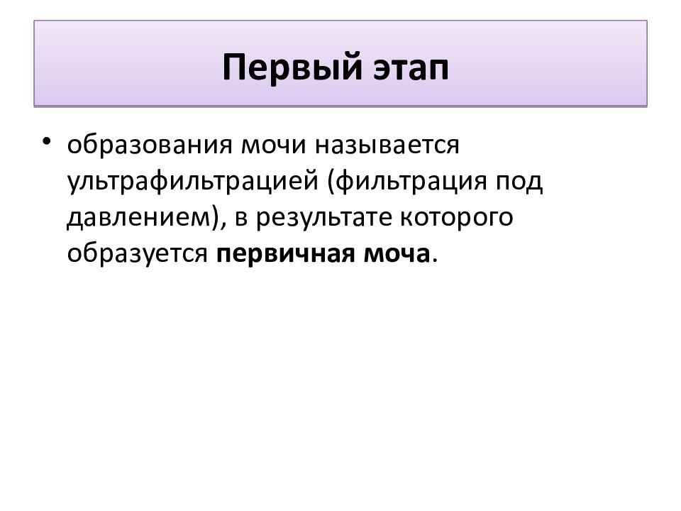 Образование мочи презентация 8 класс