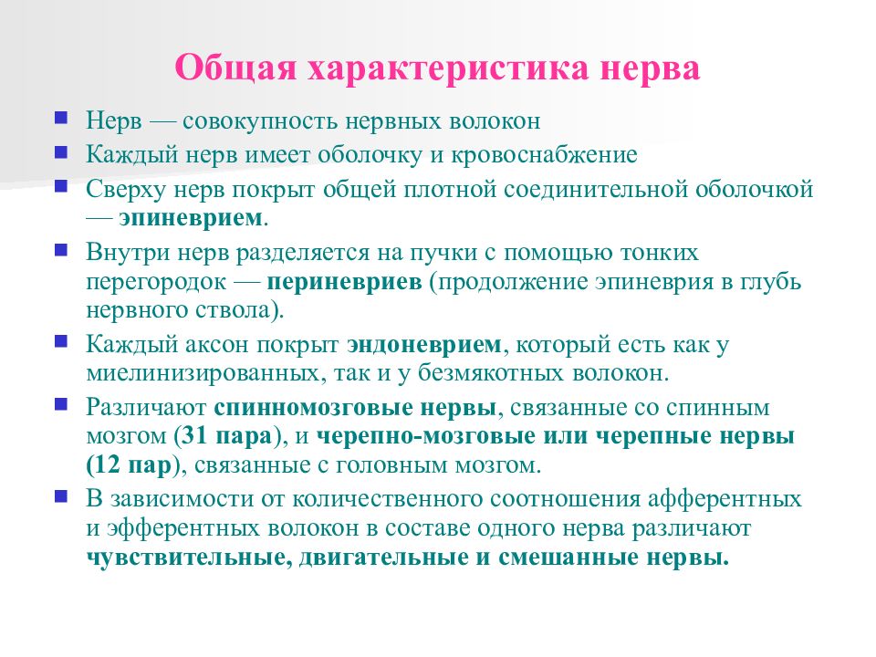 Особенности нервов. Особенности нервной системы. Особенности нервов. Возрастные особенности нервной системы физиология. Основные отделы центральной нервной системы общая характеристика.