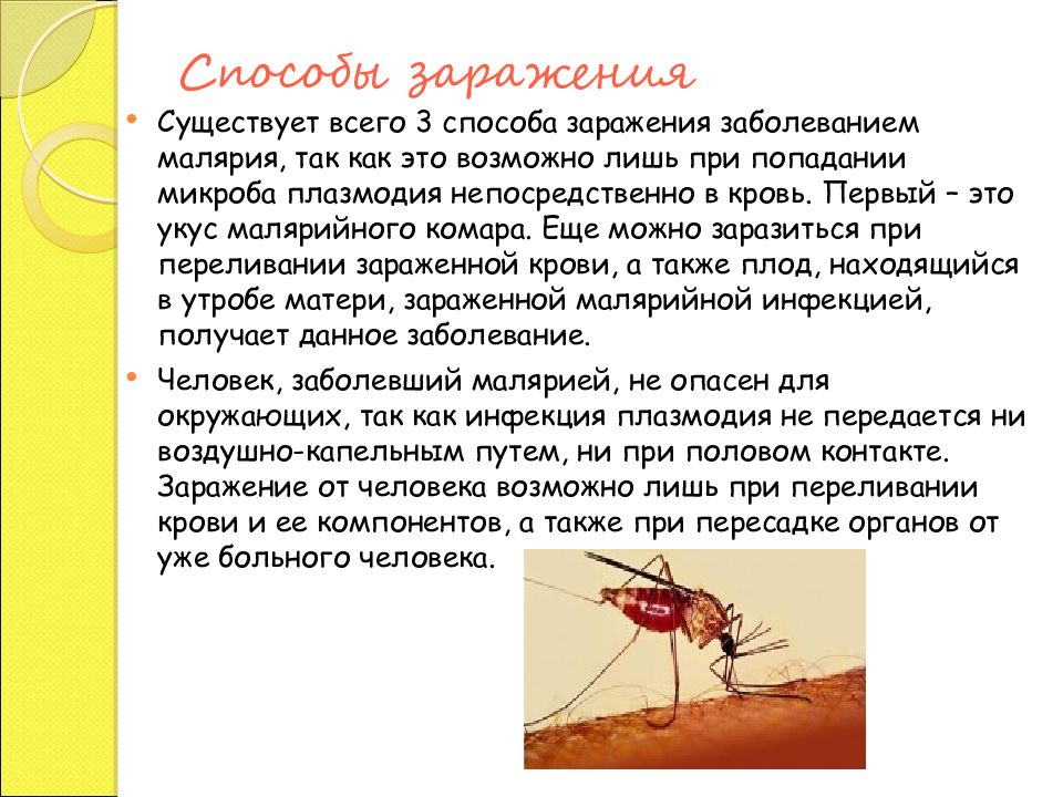 Малярией можно заразиться