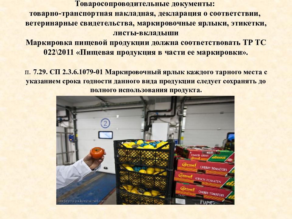 Презентация поставщика продуктов питания