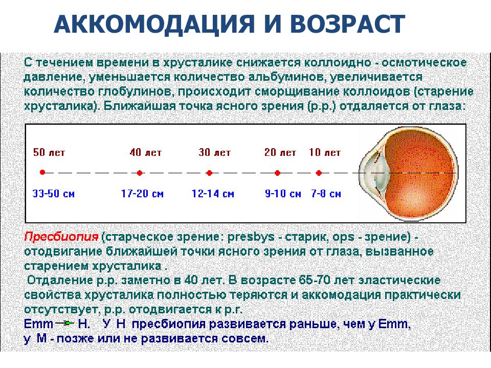 Аккомодация офтальмология презентация