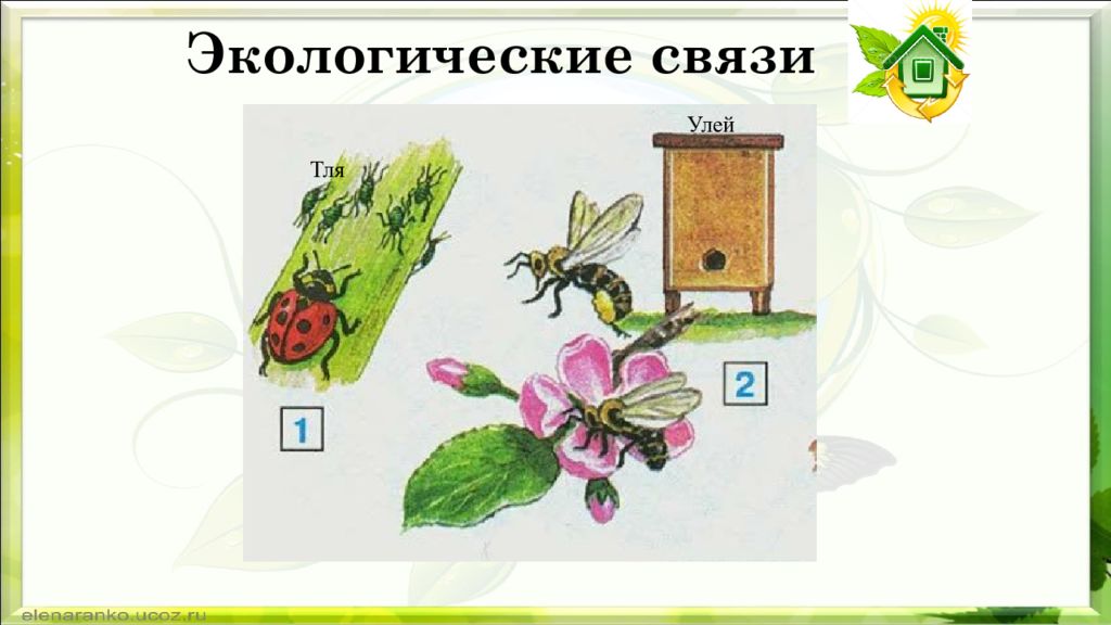 Рисунок невидимые нити окружающий мир 2 класс