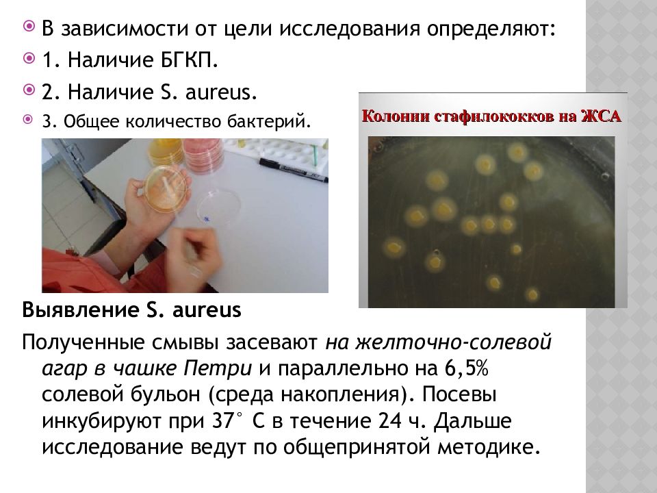 Исследование выявляет. Желточно солевой агар элективный фактор. NACL (5-10%) В желточно-солевом агаре. Желточно солевой агар микробиология. Исследование смывов на БГКП.