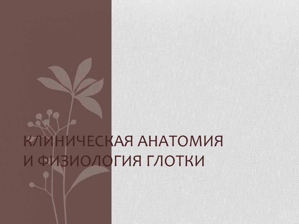 Клиническая анатомия и физиология глотки