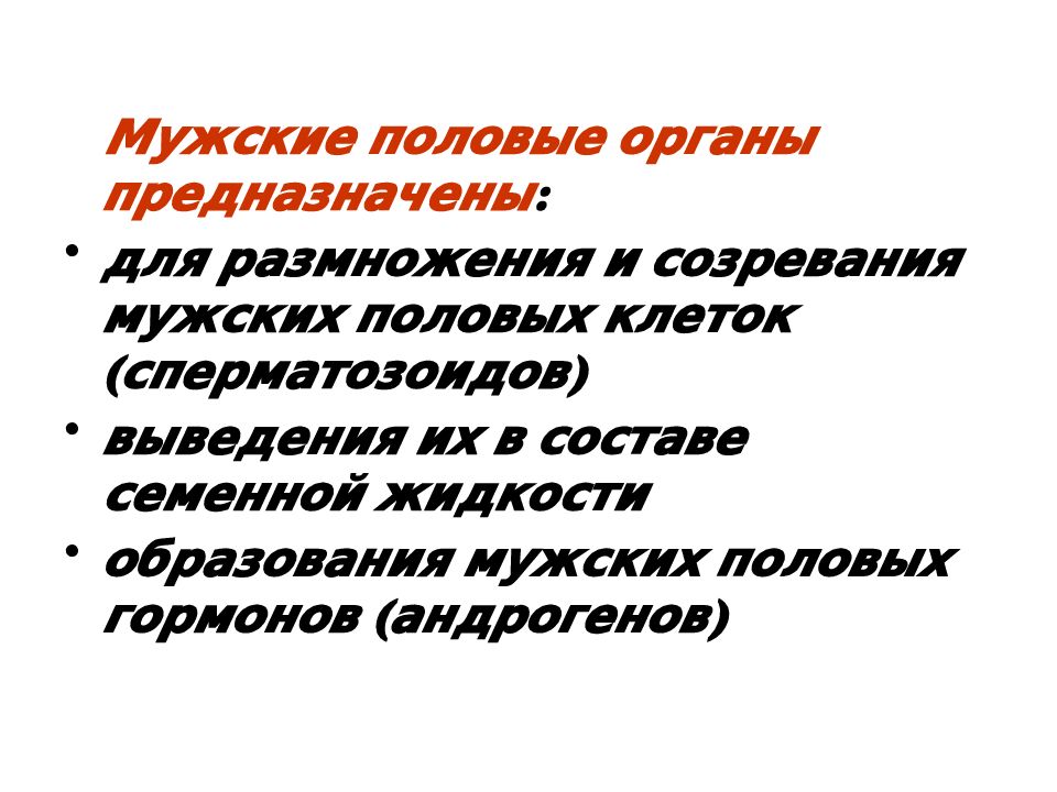 Средний половой орган у мужчин