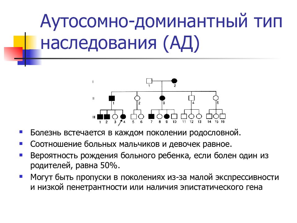 Тип наследования картинки