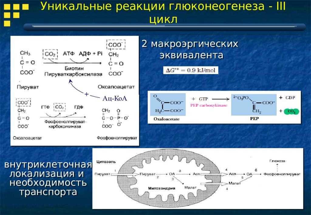 3 цикл. Необратимые реакции гликолиза и глюконеогенеза. Глюконеогенез 3 обходные реакции. Первая Обходная реакция глюконеогенеза. Пируваткарбоксилаза глюконеогенез.