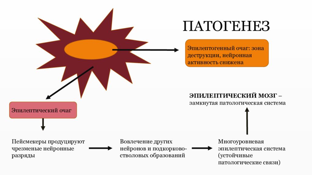 Патогенез эпилепсии схема