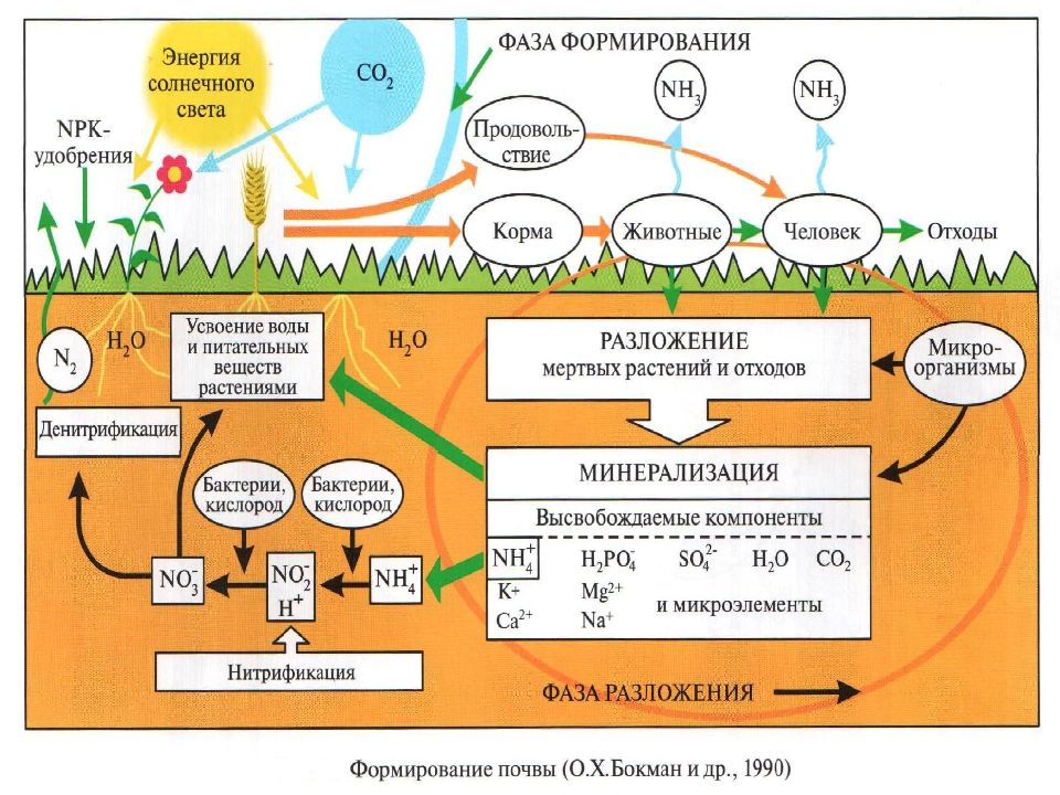 Развития географической оболочки. Структура географической оболочки. Структурные части географической оболочки. Состав географической оболочки. Строение и взаимосвязь географической оболочки.