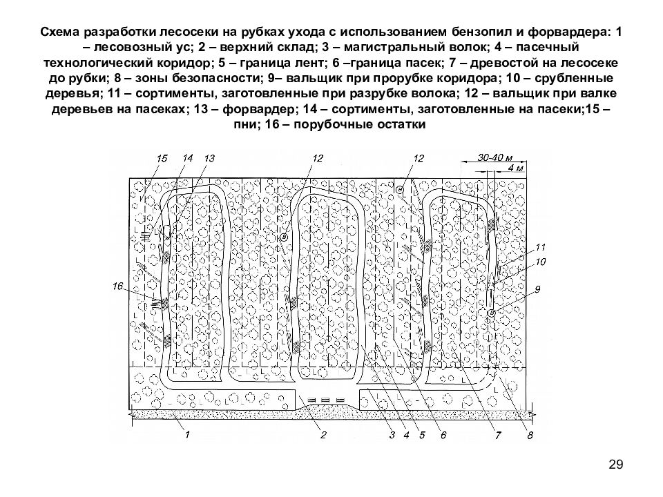 Схема разработки лесосеки харвестером и форвардером при сплошной рубке