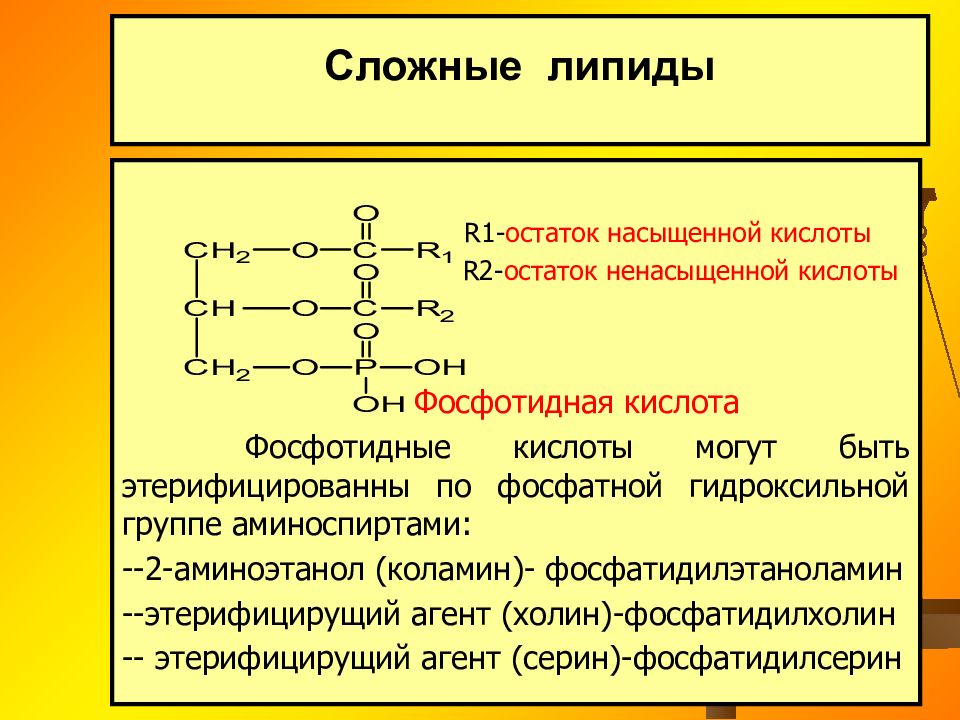 Липиды биохимия презентация