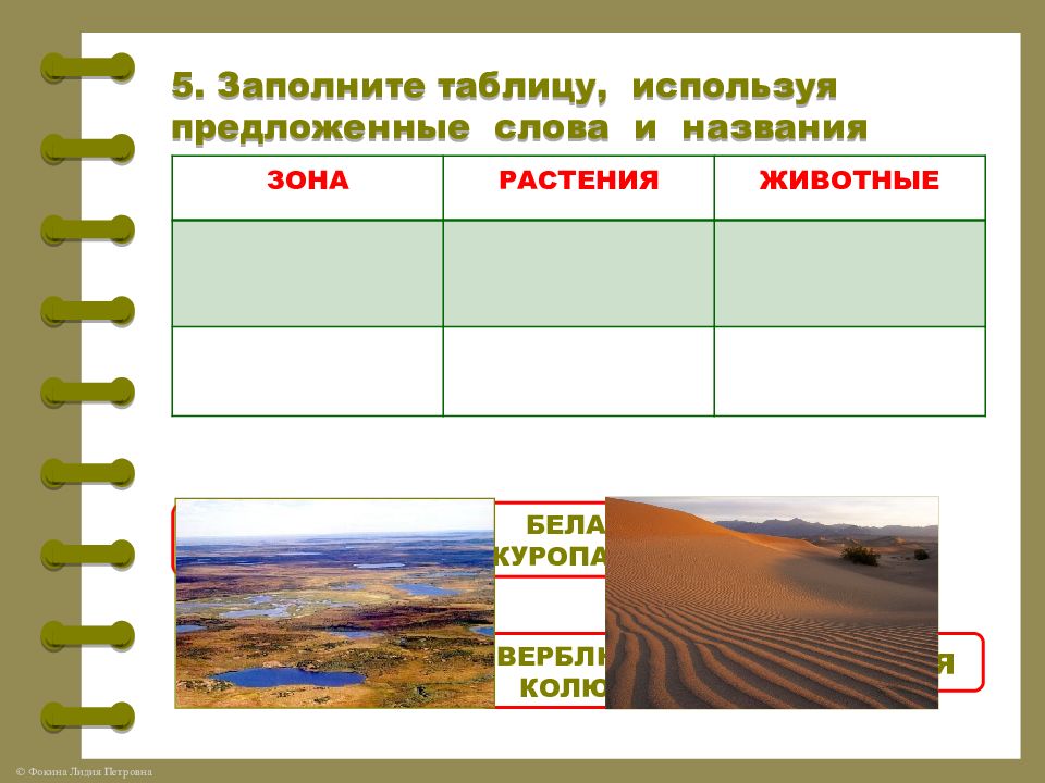 Решу впр природные зоны. Природные зоны ВПР. Природные зоны ВПР 4 класс. Природные зоны России 4 класс ВПР. ВПР по окружающему миру 4 класс природные зоны.