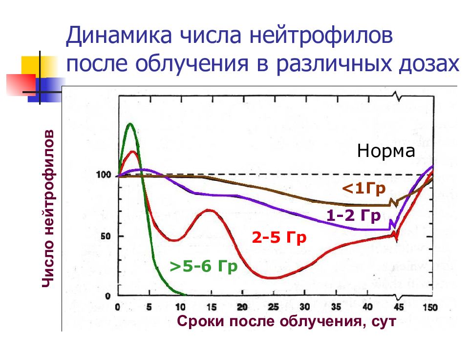 Пса после облучения. Лучевые поражения в результате внешнего облучения. Радиация после облучения. Изменение пшеницы после облучения.