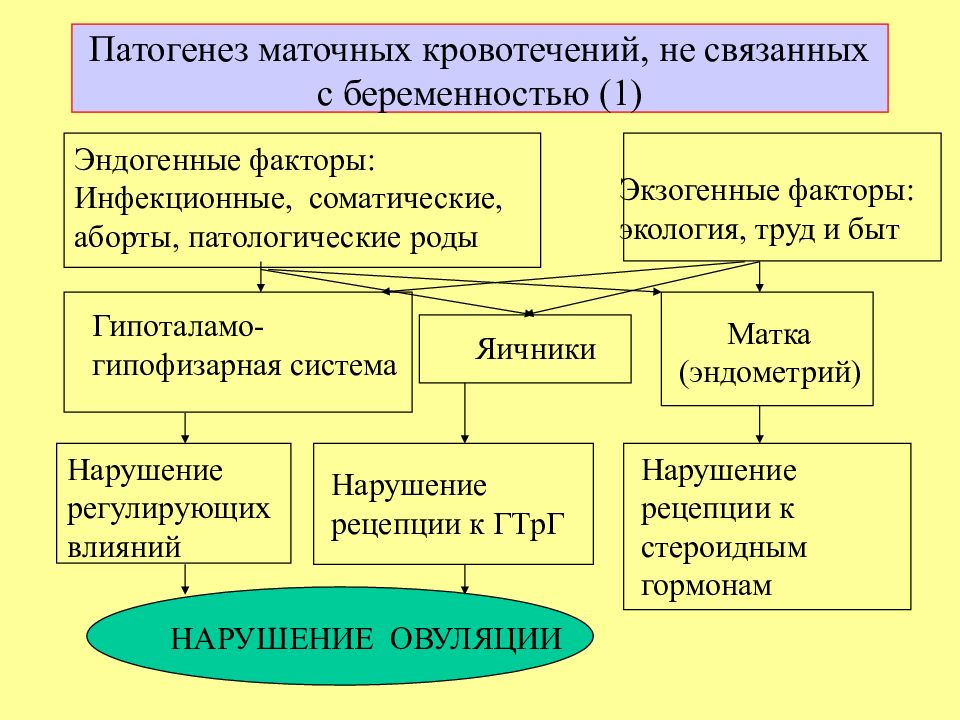 Аномальные маточные кровотечения презентация