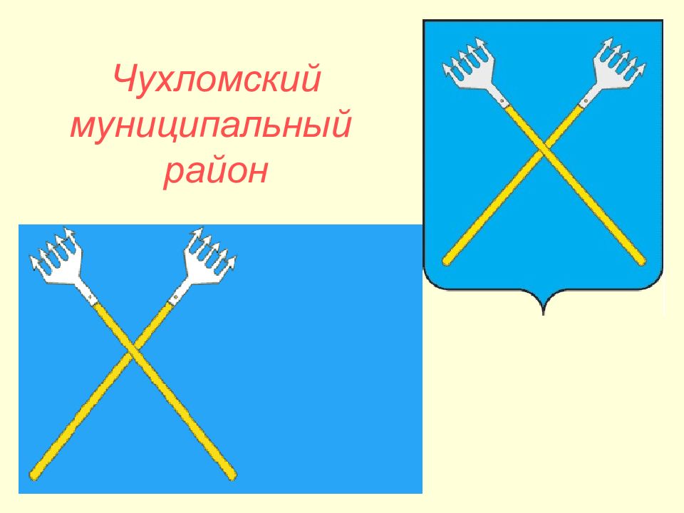 Муниципальный р н. Герб Чухломы Костромская область. Герб Чухломского района. Чухломский муниципальный район. Герб Чухломского района Костромской области.