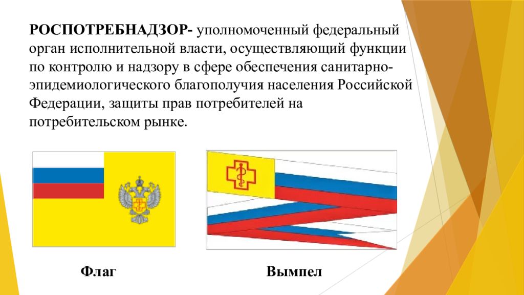 Функции по контролю и надзору исполнительной власти. Флаг Роспотребнадзора России. Роспотребнадзор это определение. Роспотребнадзор презентация. Роспотребнадзор это орган.