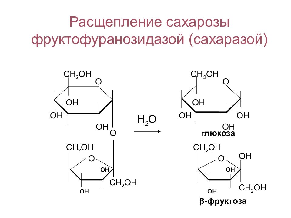 Глюкоза и фруктоза образуются при гидролизе. Сахароза расщепляется до Глюкозы и фруктозы. Схема гидролиза сахарозы. Гидролитическое расщепление сахарозы. Реакция расщепления сахарозы.