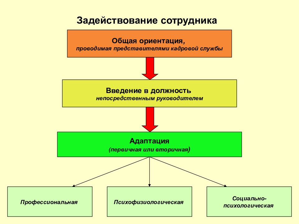 Первичные должности. С задействованием сотрудников. Социальная ориентация сотрудников. Ориентация персонала. Введение в должность.