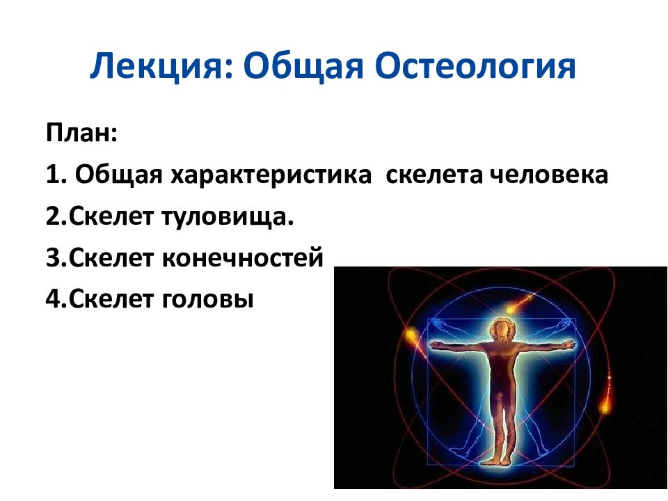 Сделайте анализ терминов по тэ osteologia pathologia. Общие сведения об остеологии.