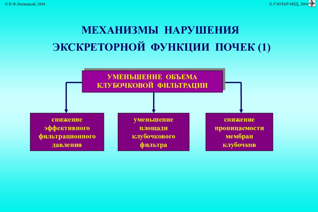 Патофизиология почек презентация