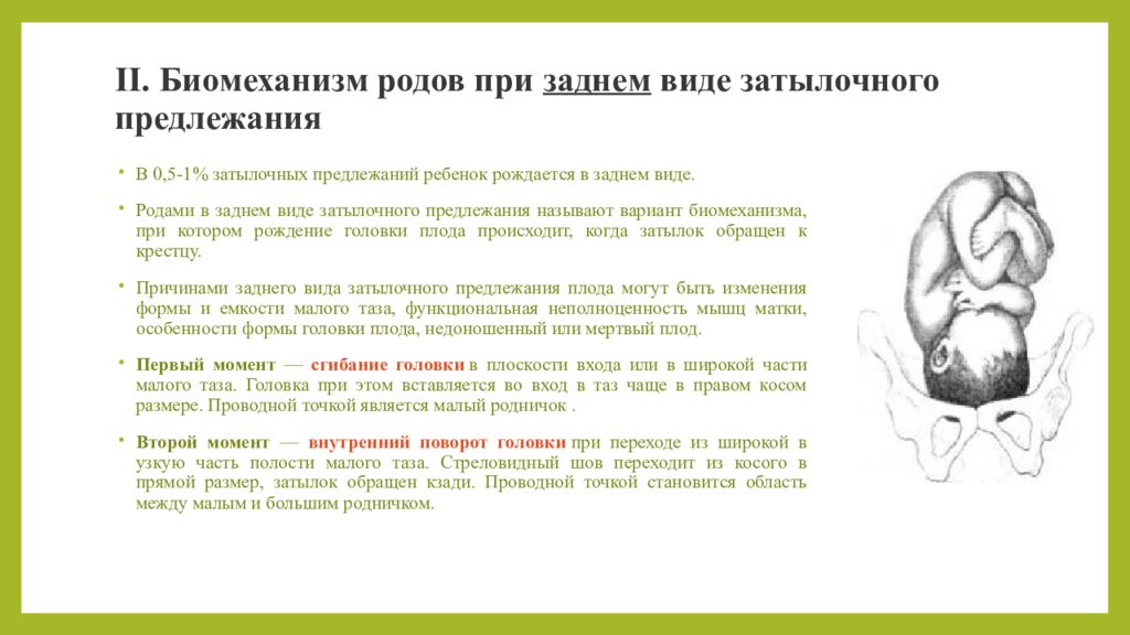 Биомеханизм родов при затылочном вставлении. Головное предлежание плода биомеханизмы. Биомеханизм родов Акушерство. Биомеханизм родов головное предлежание. Роды при заднем виде затылочного предлежания.