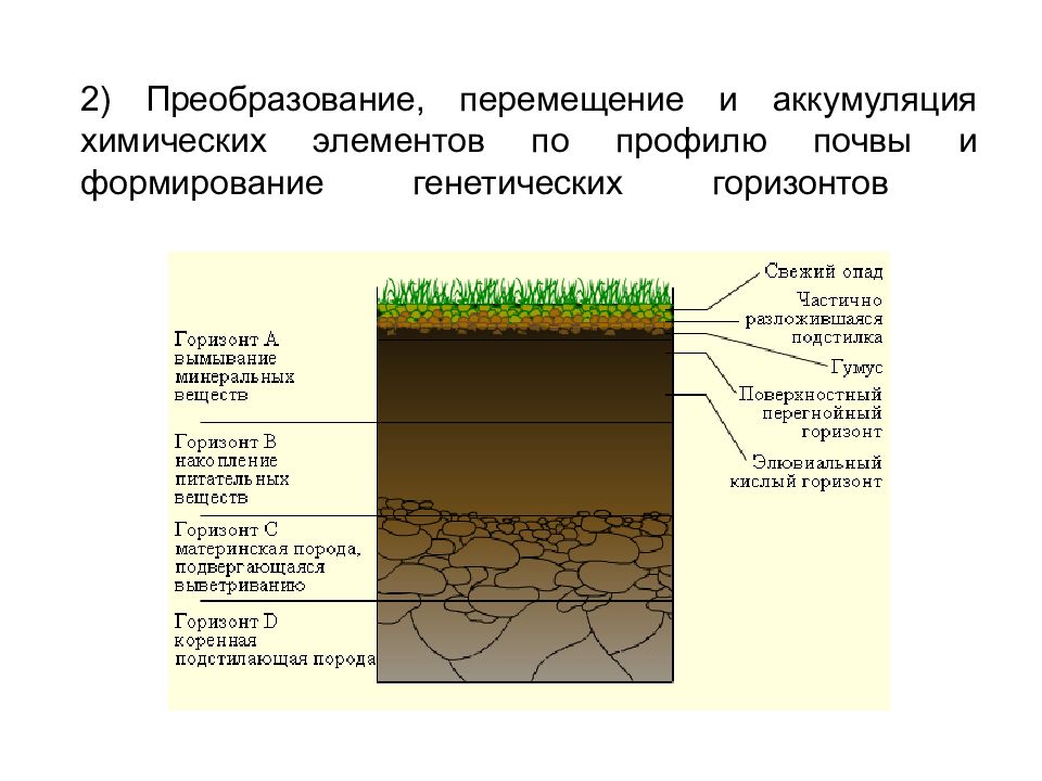 Схема формирования почвы