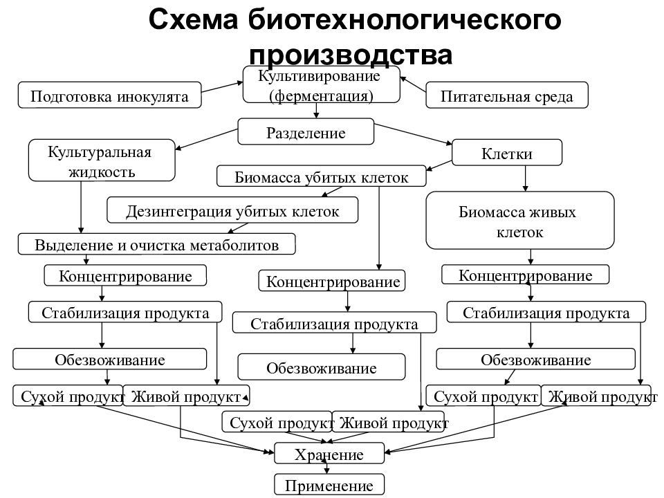 Технологическая схема биотехнологического производства