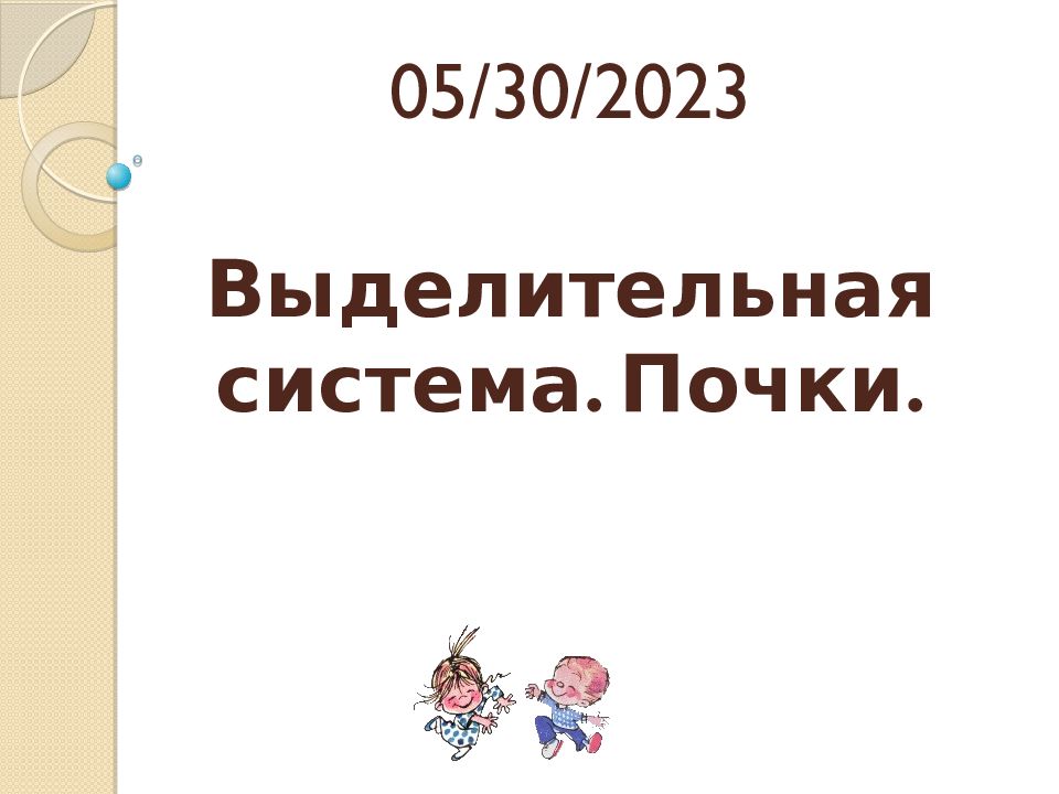 Выделительная система. Почки. 15.02.2017