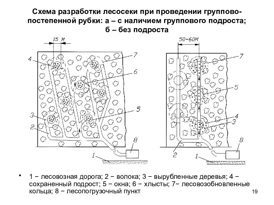 Карта лесосеки. Схема разработки лесосеки Харвестером. Выборочные рубки схема лесосеки. Схема разработки лесосеки Группово - постепенной рубки. Схема разработки лесосеки ВТМ.
