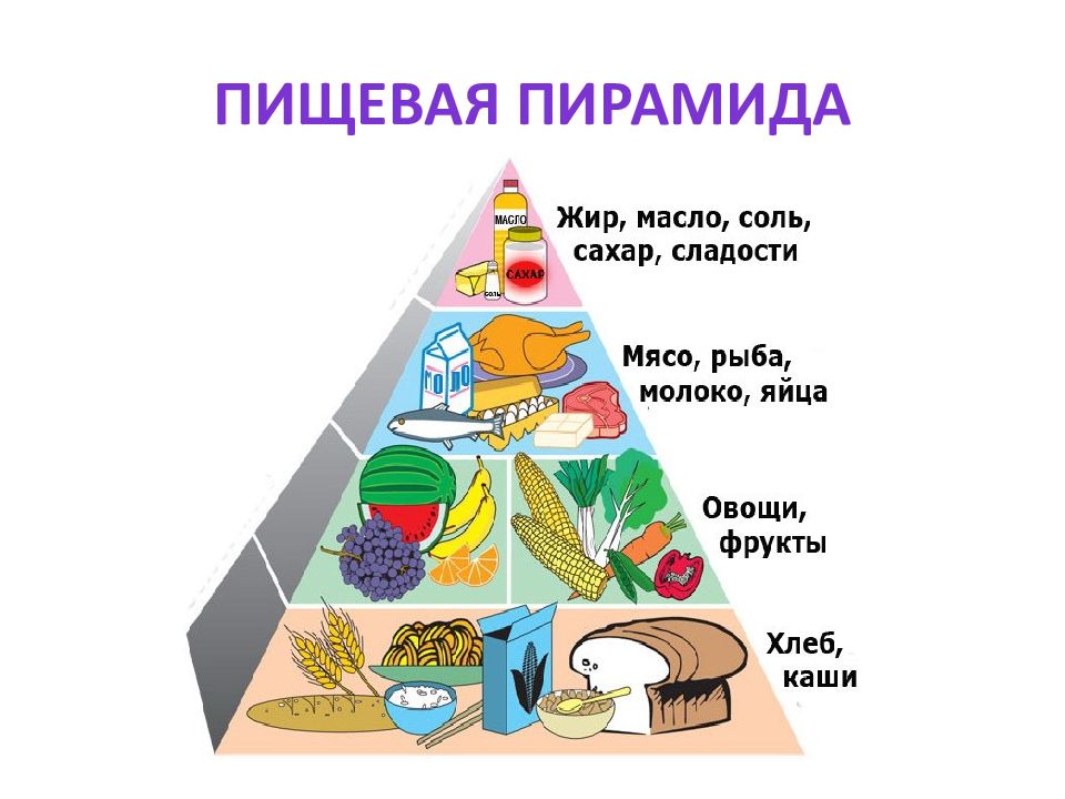 Пищевая пирамида. Пищевая пирамида животных. Пищевая пирамида 5 класс технология. Пищевая пирамида Японии. Пищевая пирамида 8 класс ОБЖ.