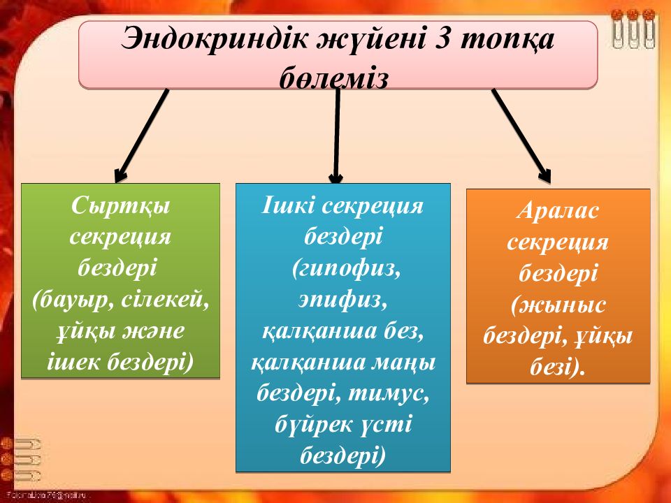 Ішкі секреция бездері презентация