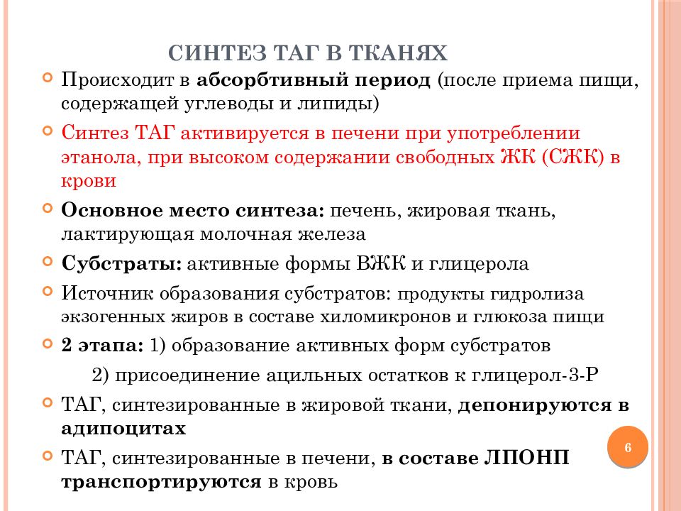 Синтез таг. Этапы синтеза таг. Особенности синтеза таг в различных тканях. Синтез таг в печени и жировой ткани. Общие этапы в биосинтезе таг и фл.