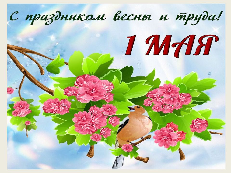 Картинки 1 мая день весны