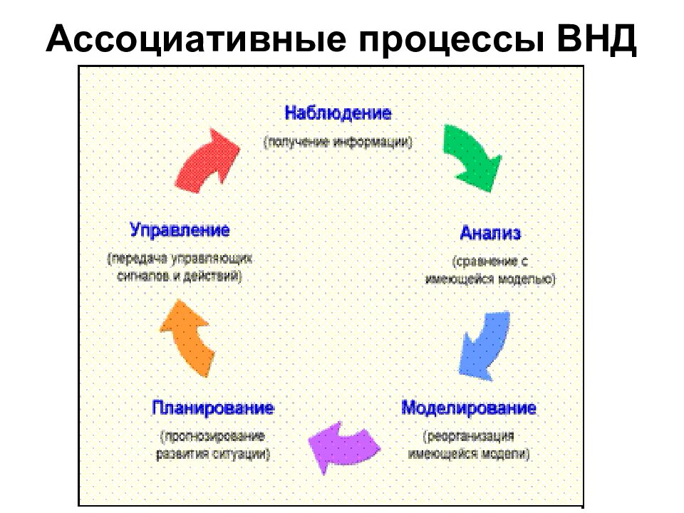 Ассоциативность мышления