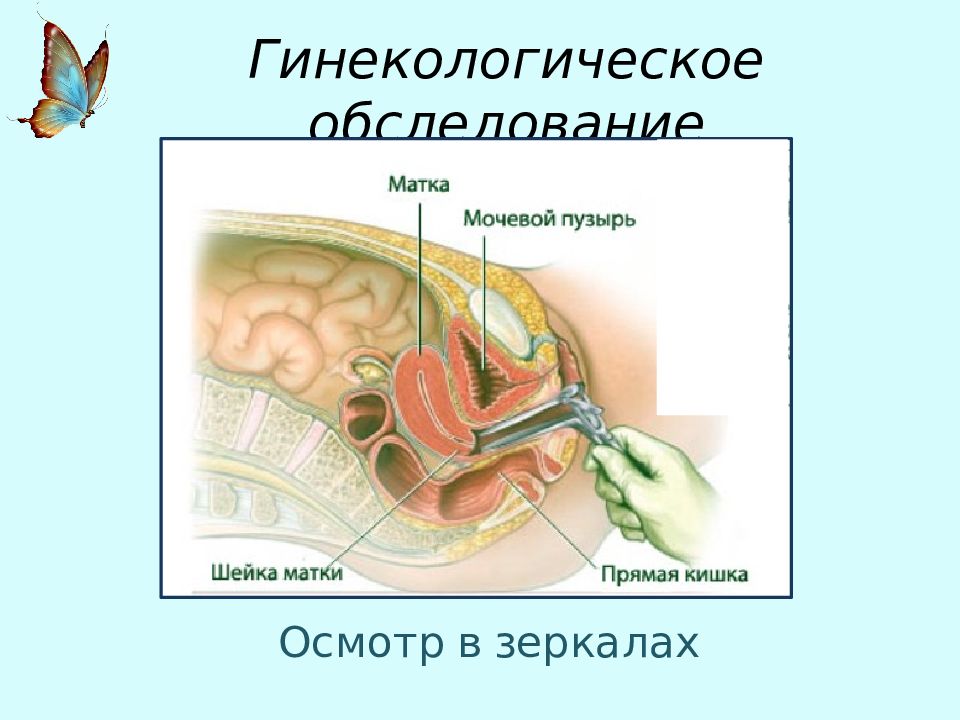 Осмотр у гинеколога через прямую кишку. Гинекология презентация. Влагалищное обследование. Гинекологический осмотр. Влагалищное обследование алгоритм.