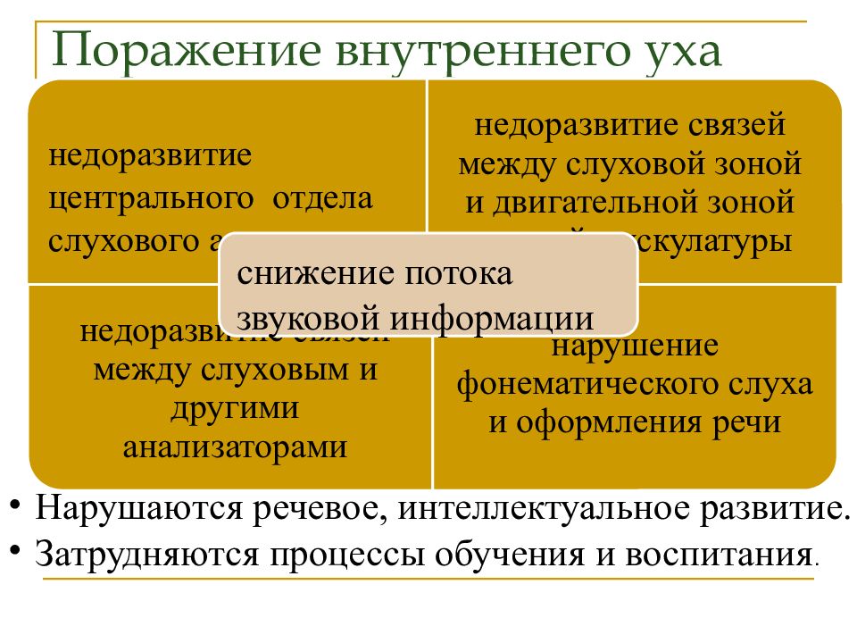 Анатомия физиология и патология органов слуха презентация