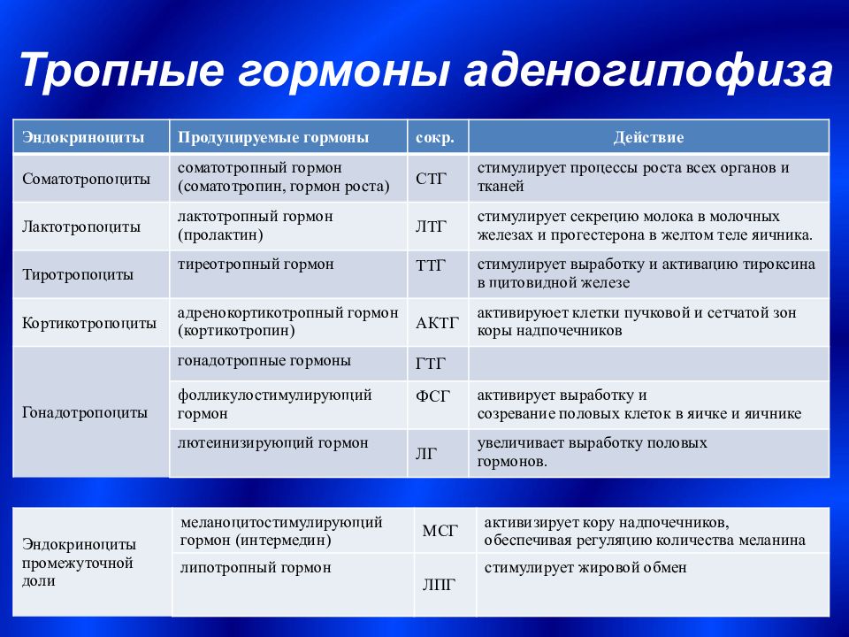 Тропные гормоны. Тропные гормоны функции. Тропные гормоны передней доли гипофиза. Тропные гормоны гипофиза функции. Функции тропных гормонов передней доли гипофиза.