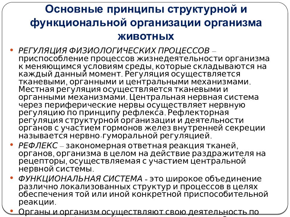 Функционально структурный принцип. Основные принципы структурно-функциональной организации животных. Структурно функциональная организация организмов. Основные принципы структурно-функциональной организации. Структурная и функциональная организация животных.