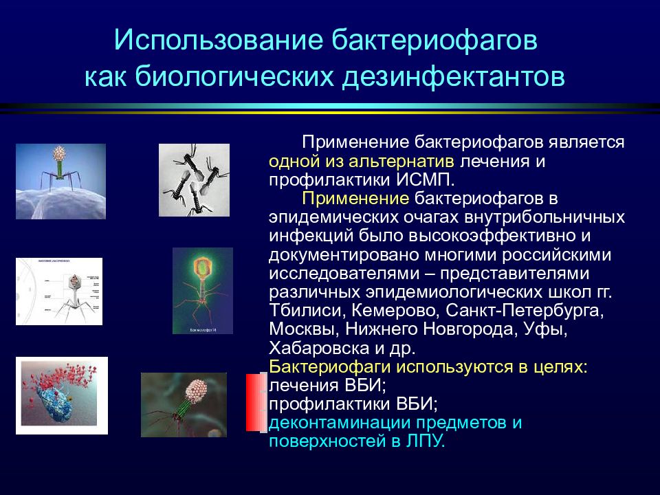 Применение бактериофагов. Использование бактериофагов. Роль бактериофагов в медицине. Практическое значение бактериофагов. Направления использования бактериофагов в медицине.