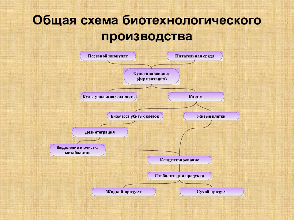 Технологическая схема биотехнологического производства