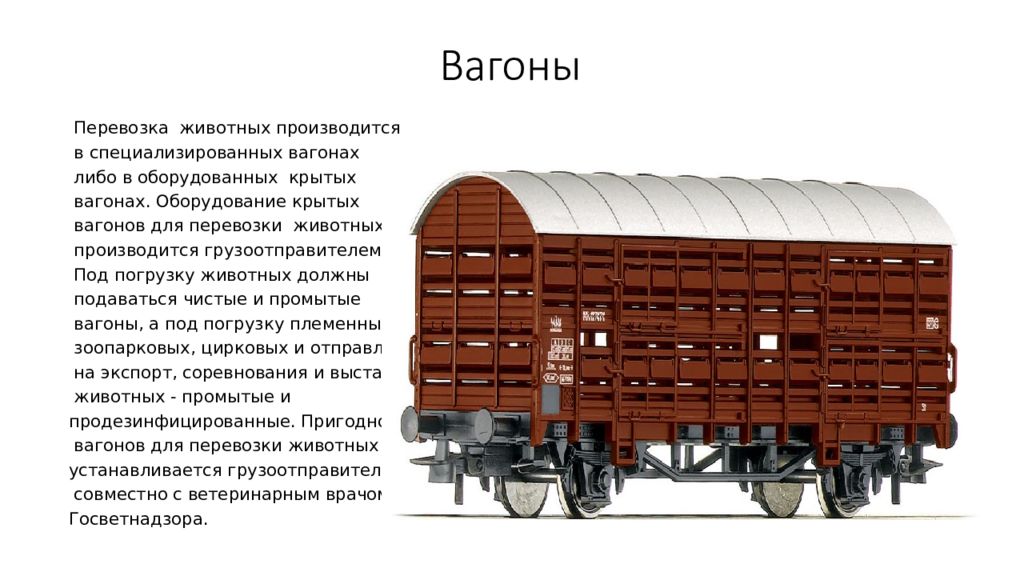 Провоз животных в поезде ржд 2023