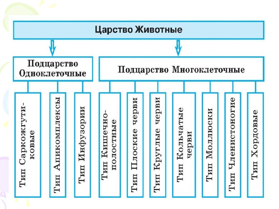 На какие царства разделяют в настоящее время все известные организмы?